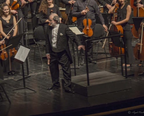Andrea Marcon, OTO, Orchestra del Teatro Olimpico